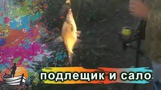 Подлещик и лещ очень любят сало  / Рыбалка- это жизнь