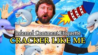 Internet Comment Etiquette: "Cracker Like Me"