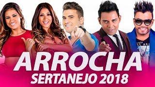 Dvd Arrocha Sertanejo 2019 - Só as estouradas do Momento