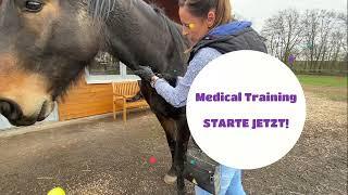 WARUM DU MIT MEDICAL TRAINING STARTEN SOLLTEST