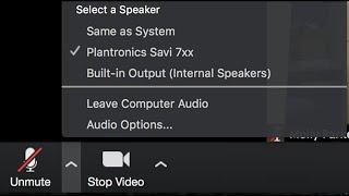 How To Fix Zoom Microphone/Audio Problems on Windows 10