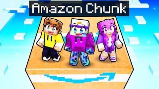 Surviving on ONE AMAZON Chunk in Minecraft!