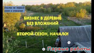 Бизнес Без Вложений в Деревне. Бизнес на Чесноке. Прополка Чеснока. Начало второго сезона.