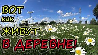 6 минут деревенской жизни // Белорусская деревня // Семья Лях