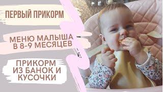 первый прикорм | меню малыша в 8-9 месяцев | переходим на кусочки | самоприкорм