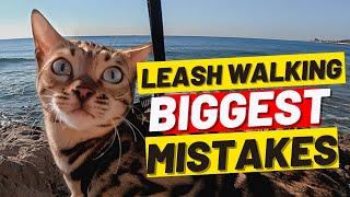 If You’re Walking Your Cat DON’t MAKE THESE 10 MISTAKES