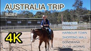 4K Australia Trip VLOG 5 - Paradise Country, Harbour Town Shopping Mall, Gondwana Glow-worms