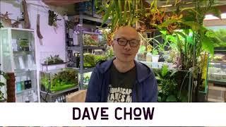 1st Saudi Arabia Open Aquascaping Contest Judges Comments  with Dave Chow and Jurijs Jutjajevs