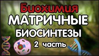 Биохимия. Лекция 36. Матричные биосинтезы. Транскрипция РНК.