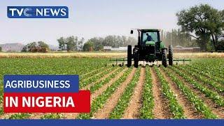 Trade Hub Commits $1.4b To Agribusiness Development In Nigeria