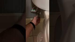 Loud Flushing Toilet
