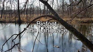 Bigfoot the Language