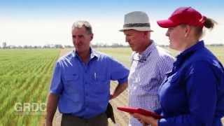 GDRC National Paddock Survey