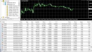 Fx Correlation EA Performance