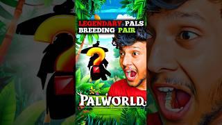 LEGENDARY BREEDING PAIR  | Palworld | Dattrax Gaming #palworld #shorts  #gaming