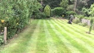 This week in lawn cutting. Diary #2. Hedges and grass.