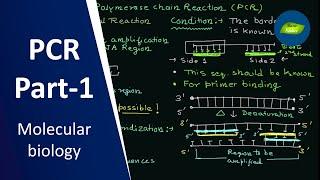 PCR Part-1 | Polymerase Chain Reaction | Primer Concept | Molecular Biology | Basic Science Series