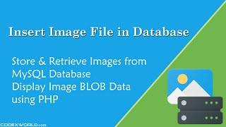 Store and Retrieve Images from Database using PHP