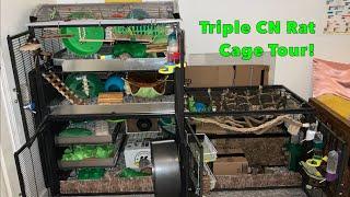 Triple Critter Nation Rat Cage Tour!