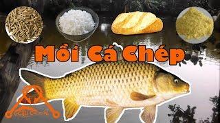 Cách Làm Mồi Câu Cá CHÉP Ao Sông Hồ Đơn Giản Hiệu Quả Nhất 𝓒â𝓾 𝓒á 𝓔𝓭𝓾