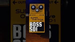 BOSS SD1 SUPER OVERDRIVE️Do you need a Dynamic Overdrive? #Boss #guitar #pedal #everlong #sd1