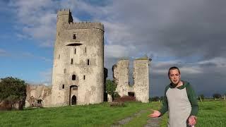 Visit the heritage of Laois on our virtual tours