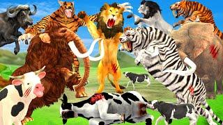 Black Lion Fight White Tiger Vs Lion King Attack Cow Cartoon Buffalo Elephant Save By Woolly Mammoth