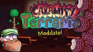 I VOSTRI CONSIGLI! IL MURO DI CARNE! Terraria Moddato E8