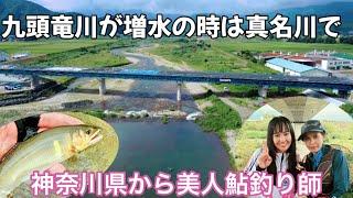 [鮎釣り]九頭竜川が大増水️そんなときは真名川がチャンス