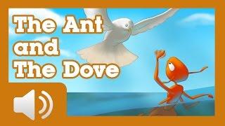 The Ant and the Dove - Fairy tales and stories for children