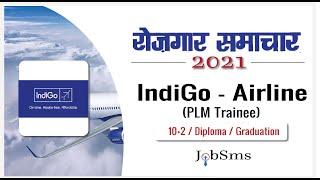 Indigo Airline PLM Trainee Recruitment 2021 | Indigo Recruitment 2021 | Full Process | Private Jobs
