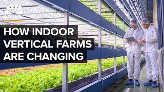 Why Vertical Farms Are Moving Beyond Leafy Greens