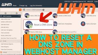 How to Reset a DNS Zone in WHM?