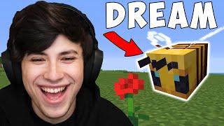 Minecraft, But My Friend Is A Bee...