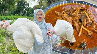 GULAI AYAM KERISIK SPECIAL !! Ayam Mutiara Bela Sendiri