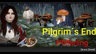 Black Desert Online. Pilgrim´s End location. BDO Pfifferlinge & Mesima-Pilz Farmen.