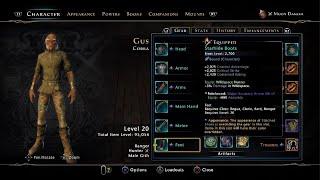 Neverwinter Full Hunter Ranger Build for Master Moondancer