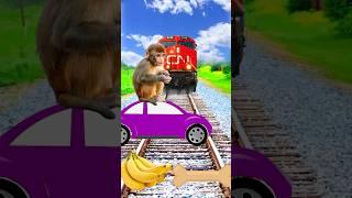 Monkey to banana dog to bone train truck save game