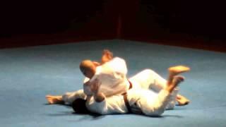 The Power of Goju-Ryu Karate