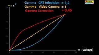 Role of the Gamma chip of the TCON board in an LCD TV