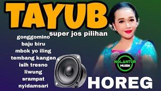 TAYUB SUPER JOSS PILIHAN HOREG GLERRR