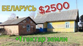 Обзор дома на продажу. Дом в деревне. БЕЛАРУСЬ Брестская область.