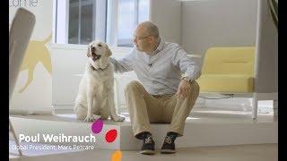 Take Your Dog to Work at Mars Petcare