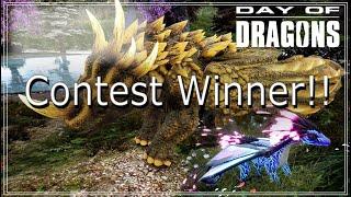 Day of Dragons, Contest Draw
