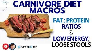 Carnivore Diet Macros: Protein or Fat? Low energy and what it can mean.