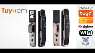 Password Unlocking Tuya Smart Fingerprint Door Locks