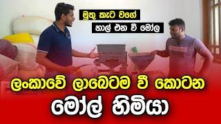 ලංකාවේ ලාබෙටම වී කොටන මෝල් හිමියා | මුතු කැට වගේ හාල් - HDB TV