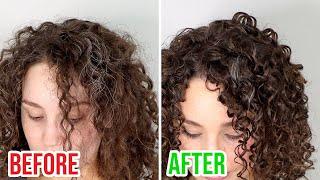 Coarse or Gray Curly Hair Routine + How to Style & Hide Grays