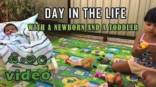 DAY IN THE LIFE OF A SRILANKAN MOM | WITH A NEWBORN & A TODDLER | Sinhala | Dhananjie Padmaperuma