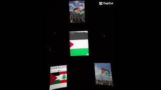 Palestine will be free some day